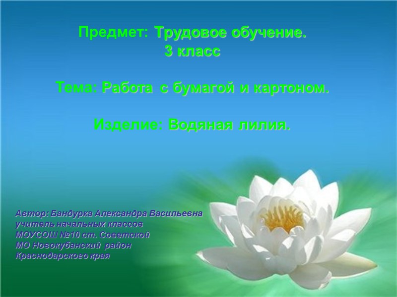 Предмет: Трудовое обучение.  3 класс  Тема: Работа с бумагой и картоном. 